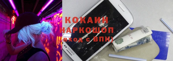 дживик Богородск