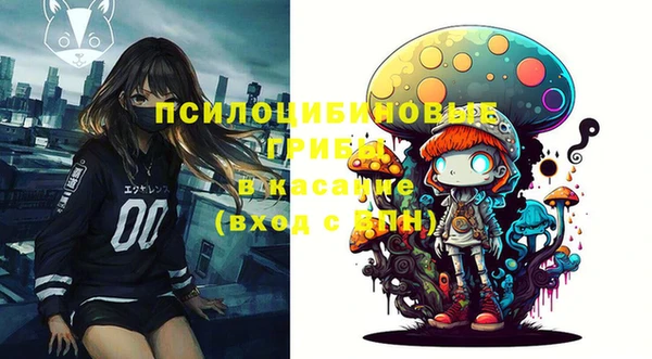 дживик Богородск