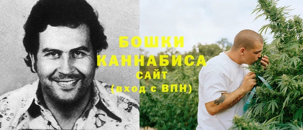 дживик Богородск
