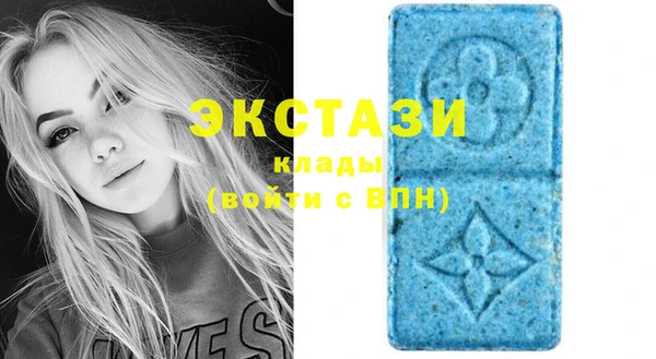 дживик Богородск