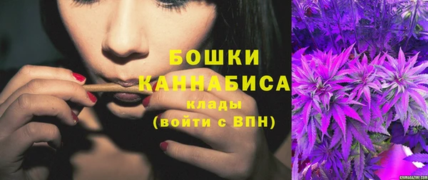 дживик Богородск
